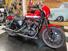 Harley-Davidson 883 Iron (2017 - 20) - XL 883N (13)