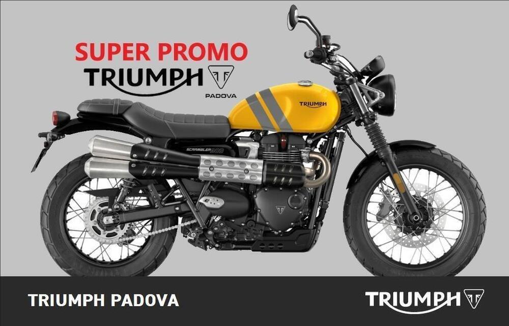 Triumph Scrambler 900 (2023 - 24)