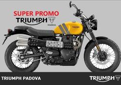 Triumph Scrambler 900 (2023 - 24) usata