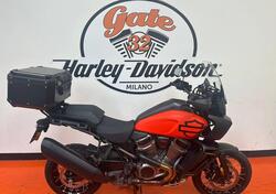 Harley-Davidson Pan America 1250 Special (2020 - 24) usata