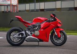 Ducati Panigale V4 (2025) nuova