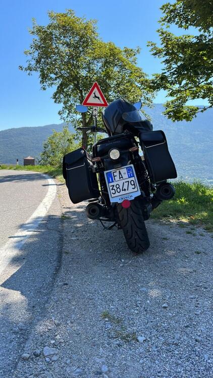 Moto Guzzi V7 Stone (2021 - 24) (3)