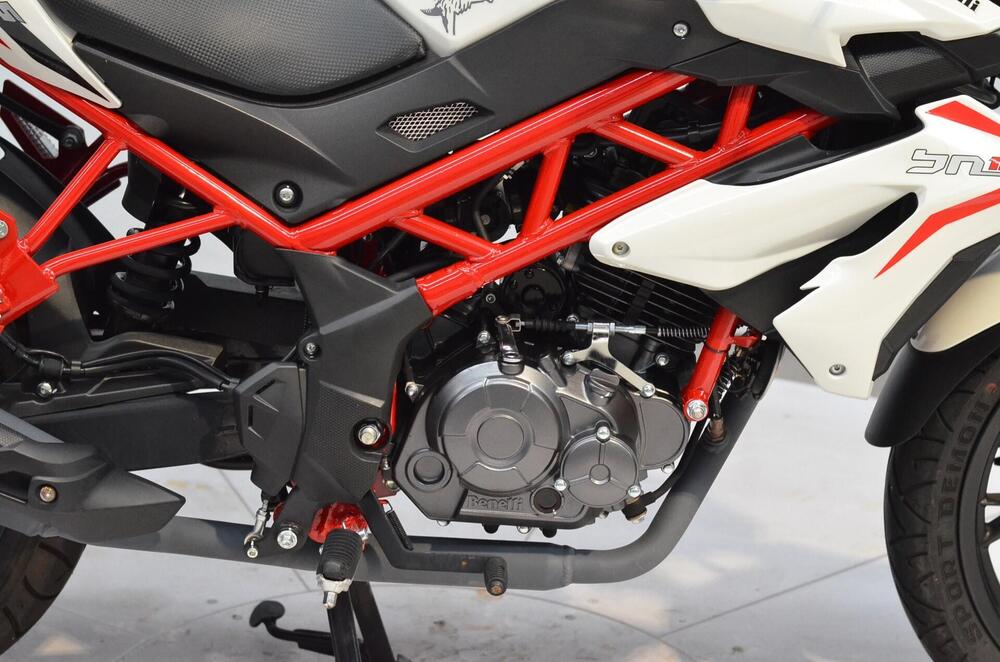 Benelli BN 125 (2018 - 20) (3)