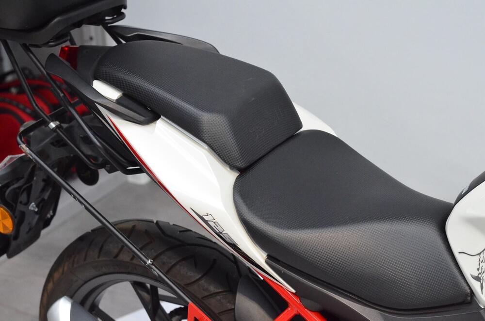 Benelli BN 125 (2018 - 20) (5)