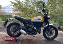 Ducati Scrambler 800 Classic (2015 - 16) usata