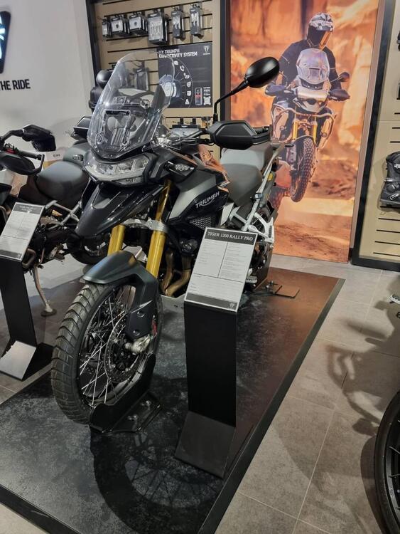 Triumph Tiger 1200 Rally Pro (2022 - 23) (3)