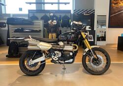 Triumph Scrambler 1200 XE (2024) nuova