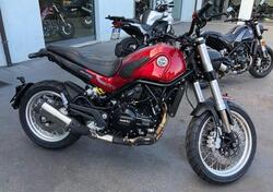 Benelli Leoncino 500 Trail (2021 - 24) usata