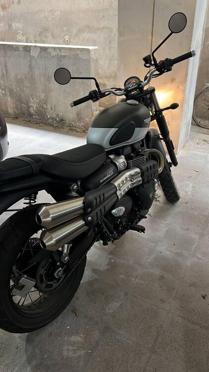 Triumph Street Scrambler 900 (2019 - 20)