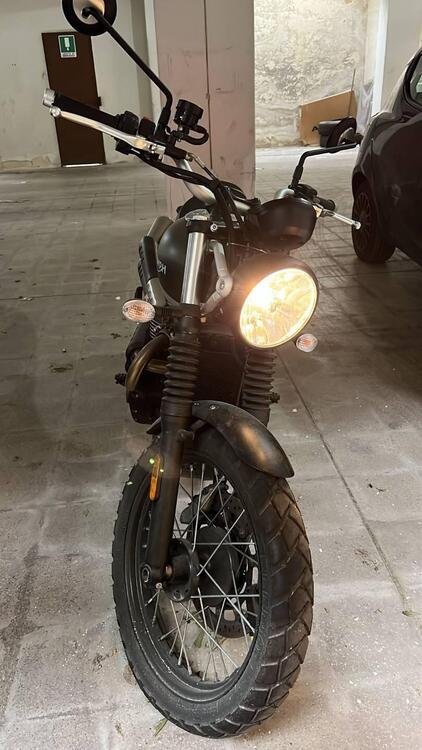 Triumph Street Scrambler 900 (2019 - 20) (3)