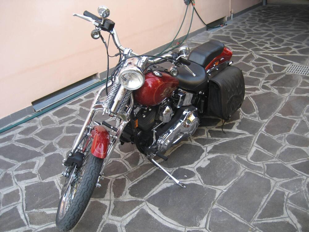 Harley-Davidson 1340 Springer (1990 - 98) - FXSTS (2)