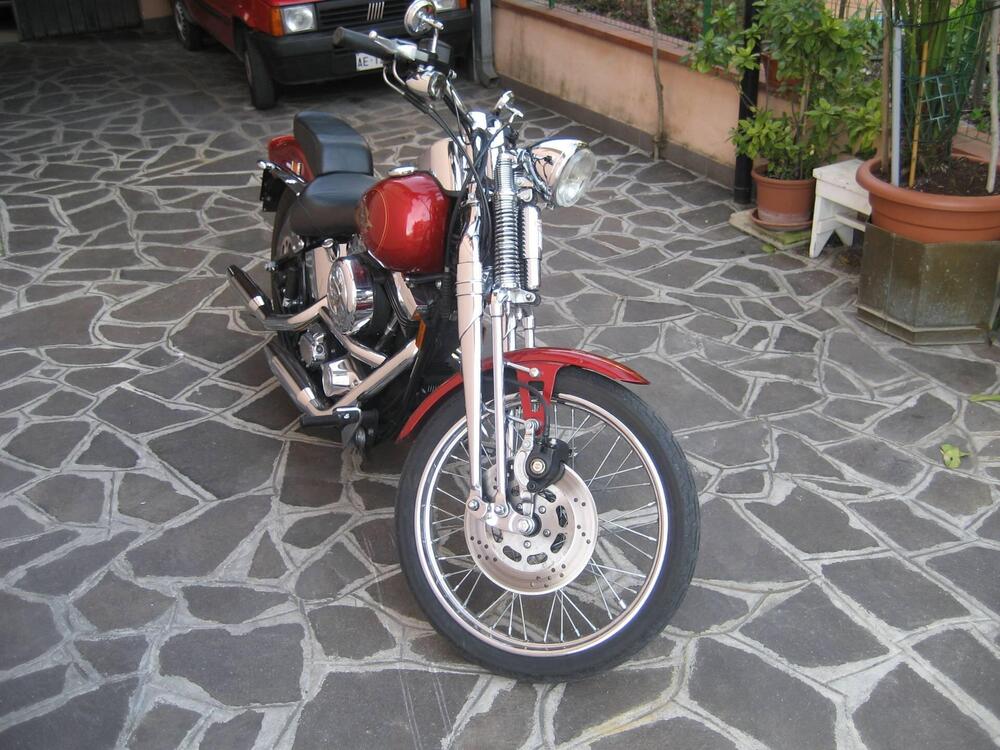 Harley-Davidson 1340 Springer (1990 - 98) - FXSTS (5)