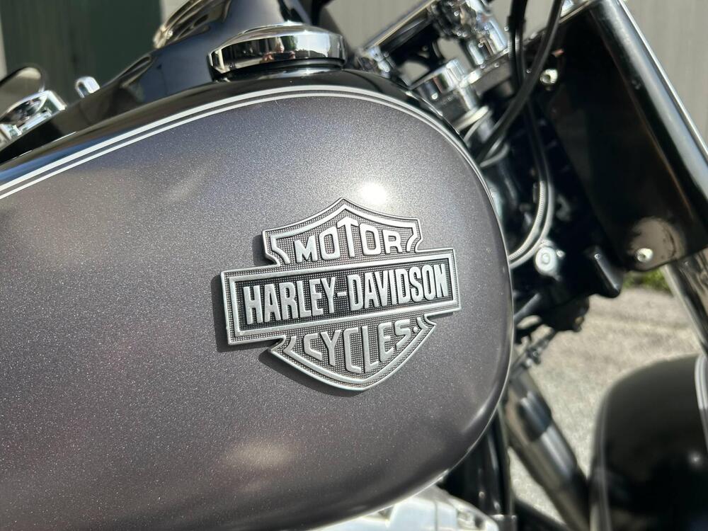 Harley-Davidson 1690 Slim (2011 - 16) - FLS (2)