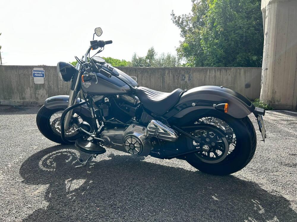 Harley-Davidson 1690 Slim (2011 - 16) - FLS (3)