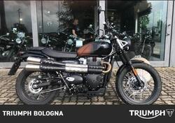 Triumph Scrambler 900 Stealth Edition (2024) usata