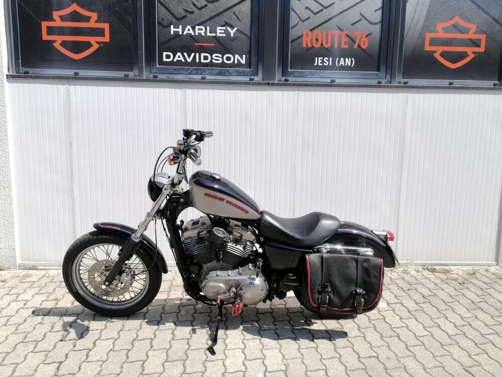 Harley-Davidson 883 (2006 - 07) - XL (5)