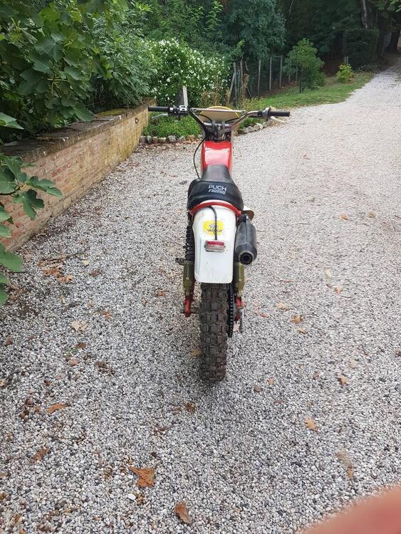 Puch Frigerio GS125 (2)