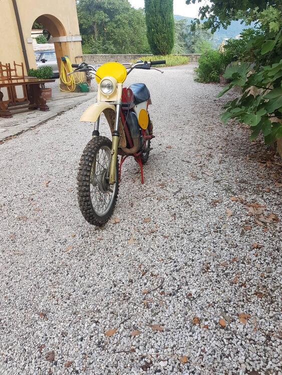 Puch Frigerio GS125 (3)