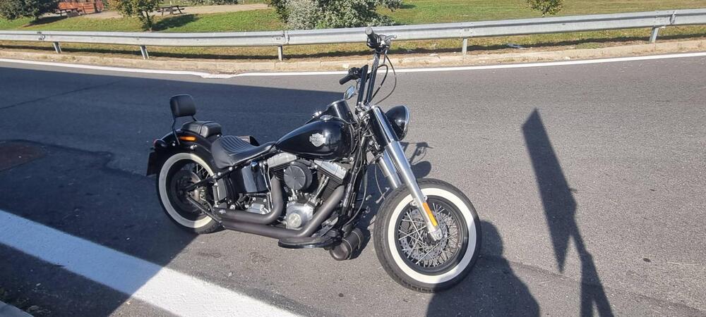 Harley-Davidson 1690 Slim (2017) - FLS (2)