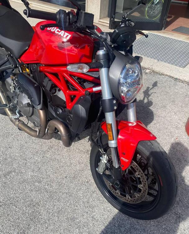 Ducati Monster 821 (2018 - 20) (2)