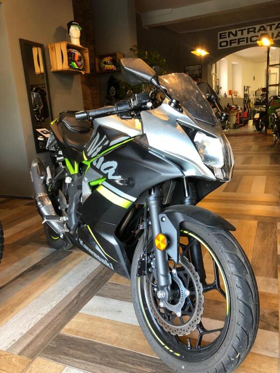 Kawasaki Ninja 125 (2019 - 20) (2)