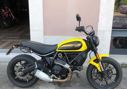 Ducati Scrambler 800 Icon (2017 - 20) usata