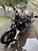 Moto Guzzi V7 III Stone Night Pack (2019 - 20) (7)