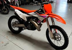 KTM SX 250 (2024) usata