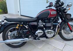 Triumph Bonneville T100 (2008 - 16) usata