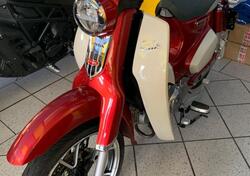 Honda Super Cub 125 (2022 - 24) usata