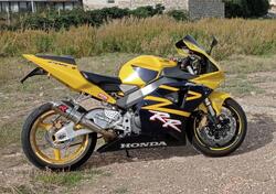 Honda CBR 900 RR Fireblade (2002 - 04) usata