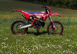 Betamotor RR 50 Enduro Racing (2021 - 24) usata