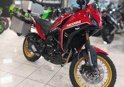 Moto Morini X-Cape 650 Gold Wheels Edition (2022 - 24) nuova