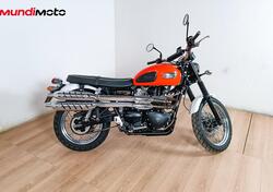 Triumph Scrambler 900 (2023 - 24) usata