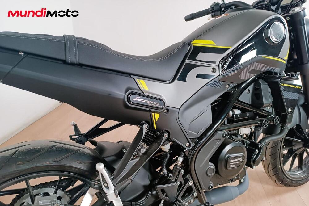 Benelli Leoncino 250 (2019 - 20) (4)