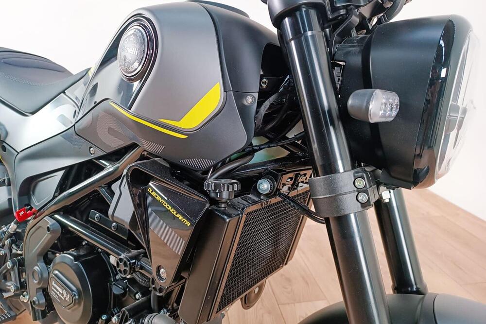 Benelli Leoncino 250 (2019 - 20) (5)