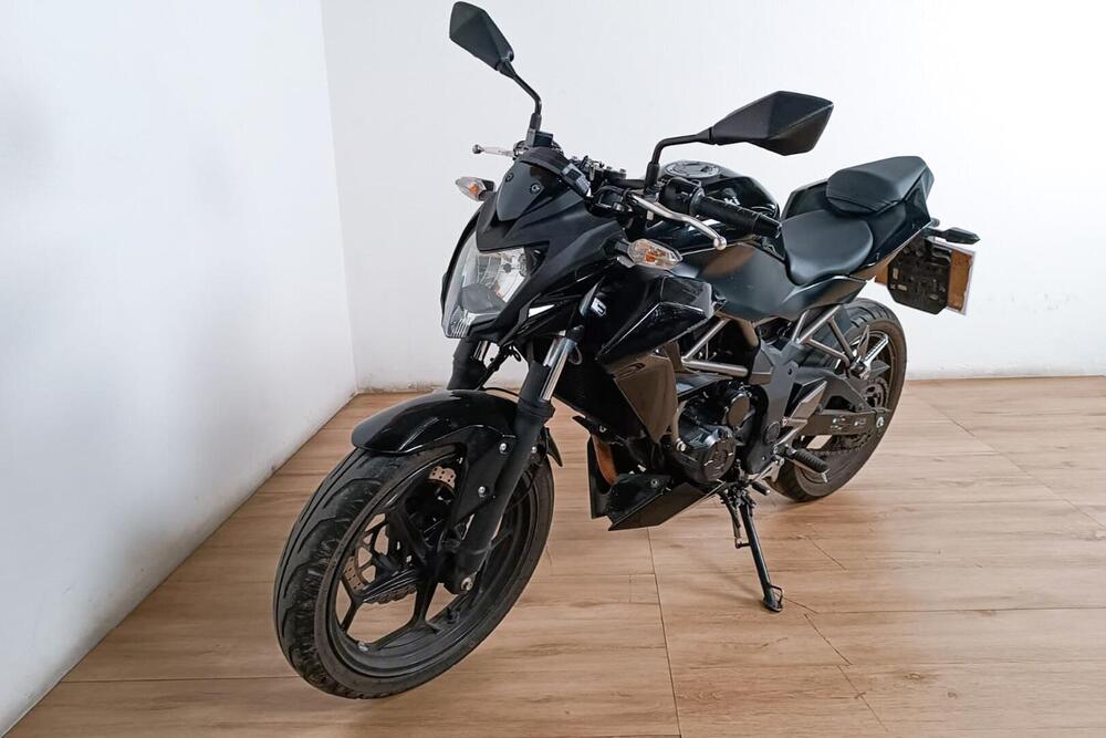 Kawasaki Z 250 SL (2015 - 16) (3)