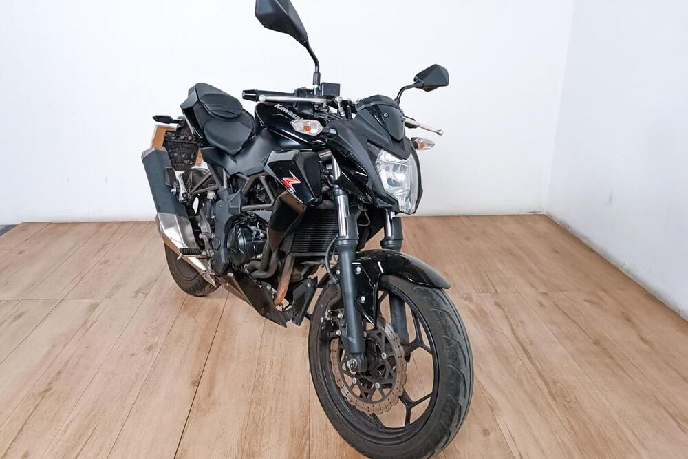 Kawasaki Z 250 SL (2015 - 16) (2)