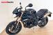 Triumph Speed Triple 1050 (2005 - 11) (7)