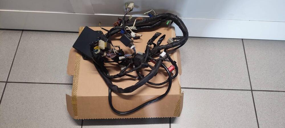 Impianto elettrico Yamaha R6 99/2002 (2)