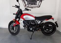 Ducati Scrambler 800 Icon (2023 - 24) usata