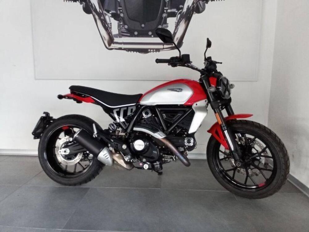 Ducati Scrambler 800 Icon (2023 - 24) (4)