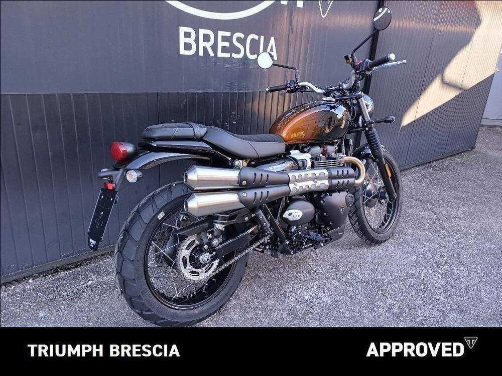 Triumph Scrambler 900 (2023 - 24) (3)