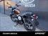 Triumph Scrambler 900 (2023 - 24) (13)