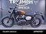 Triumph Scrambler 900 (2023 - 24) (11)