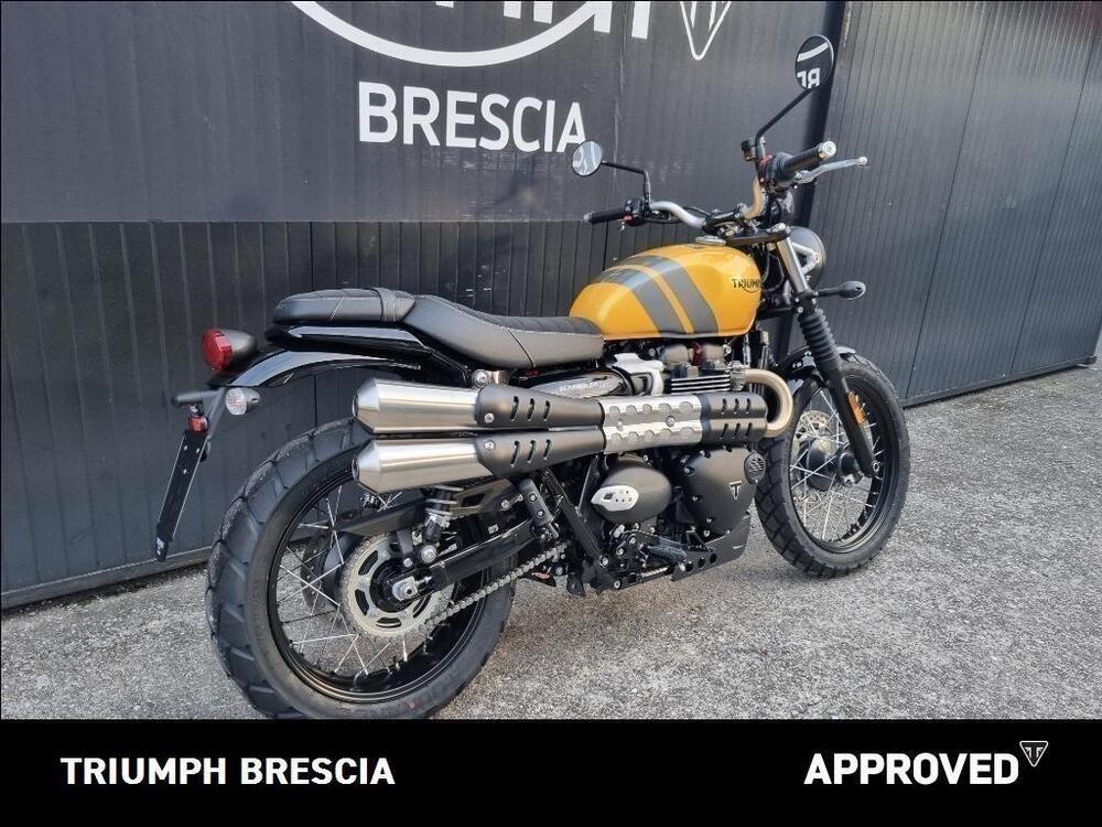 Triumph Scrambler 900 (2023 - 24) (3)