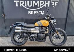 Triumph Scrambler 900 (2023 - 24) usata