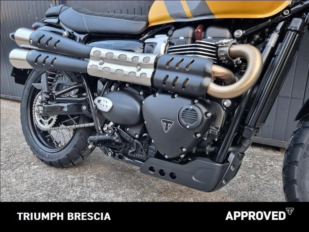 Triumph Scrambler 900 (2023 - 24) (5)