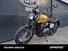 Triumph Scrambler 900 (2023 - 24) (13)