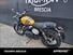 Triumph Scrambler 900 (2023 - 24) (12)